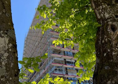 MIC avec échafaudage et un arbre